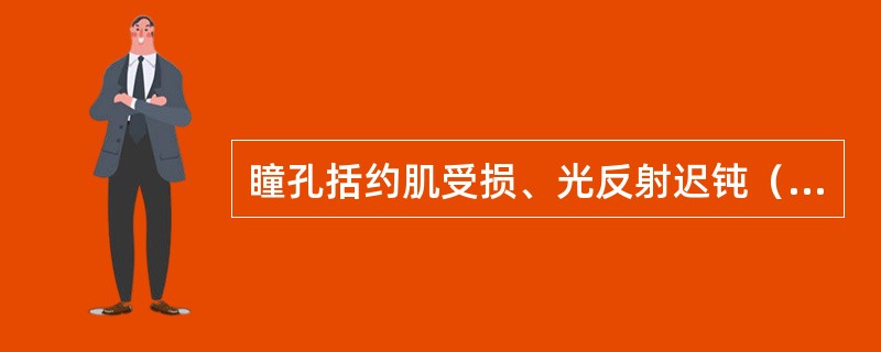 瞳孔括约肌受损、光反射迟钝（　　）。