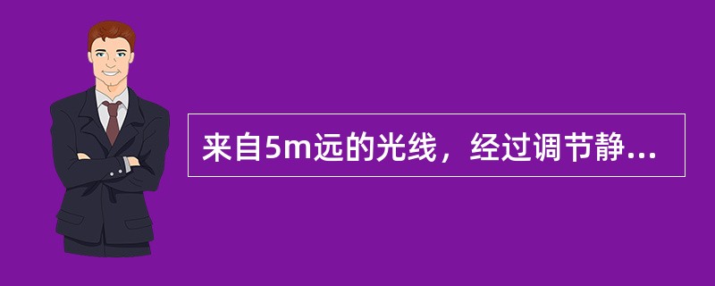 来自5m远的光线，经过调节静止的眼的屈光系统后，焦点落在视网膜上，应称之为（　　）。