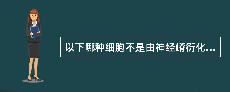 以下哪种细胞不是由神经嵴衍化而来的？（　　）