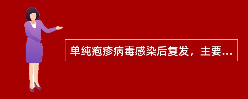 单纯疱疹病毒感染后复发，主要是因为是（　　）。