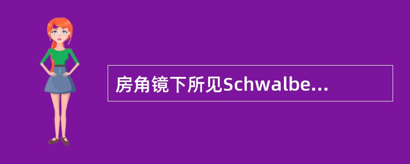 房角镜下所见Schwalbe线解剖位置上等同于（　　）。