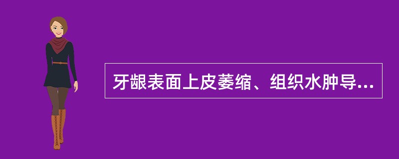 牙龈表面上皮萎缩、组织水肿导致的主要表现为（　　）。