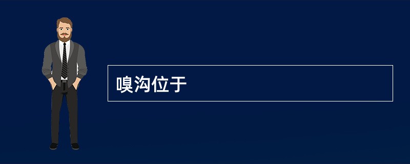 嗅沟位于