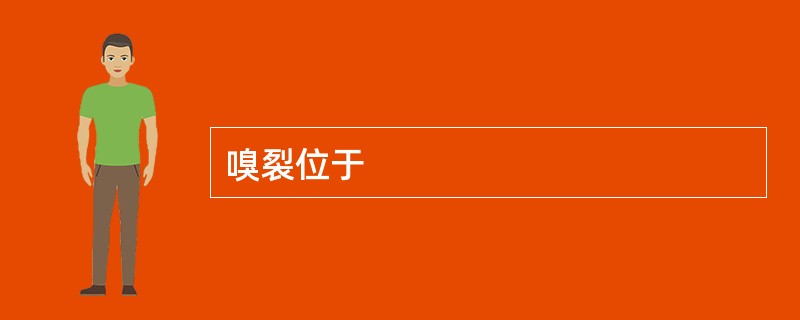 嗅裂位于