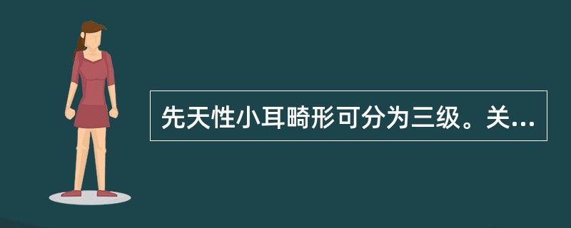 先天性小耳畸形可分为三级。关于第3级的表现，正确的是