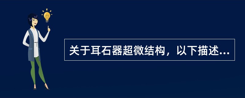 关于耳石器超微结构，以下描述错误的是