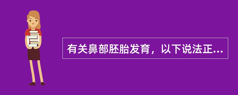 有关鼻部胚胎发育，以下说法正确的是