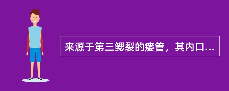 来源于第三鳃裂的瘘管，其内口位于