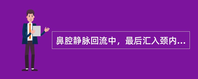 鼻腔静脉回流中，最后汇入颈内、外静脉的静脉是（　　）。