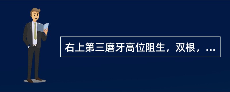 右上第三磨牙高位阻生，双根，远中根折断约3mm，根尖无病变，应当（　　）。