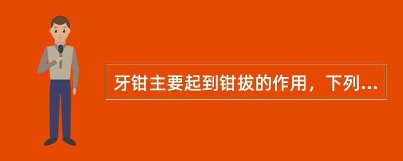 牙钳主要起到钳拔的作用，下列哪种牙钳还同时具有牙挺的作用？（　　）