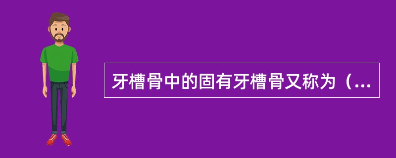 牙槽骨中的固有牙槽骨又称为（　　）。