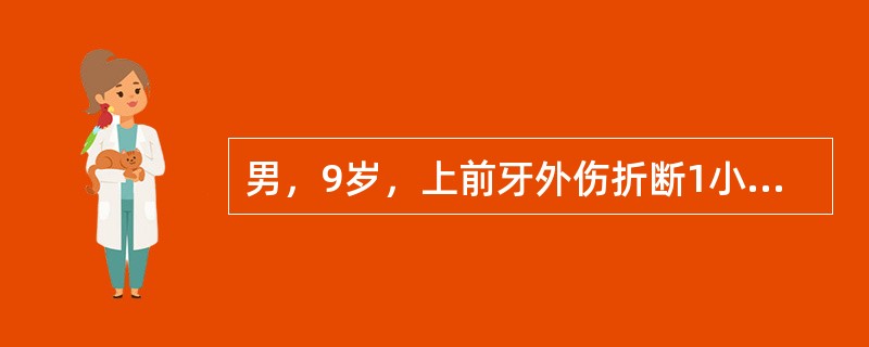 男，9岁，上前牙外伤折断1小时。检查：<img border="0" style="width: 12px; height: 29px;" src=&qu