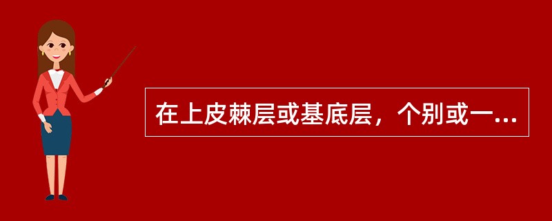 在上皮棘层或基底层，个别或一群细胞发生角化称为