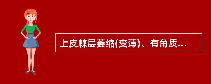 上皮棘层萎缩(变薄)、有角质栓形成常见于（　　）。