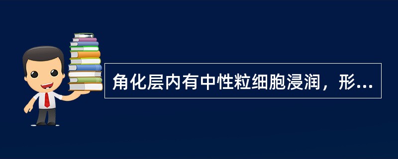 角化层内有中性粒细胞浸润，形成微小脓肿最常见于