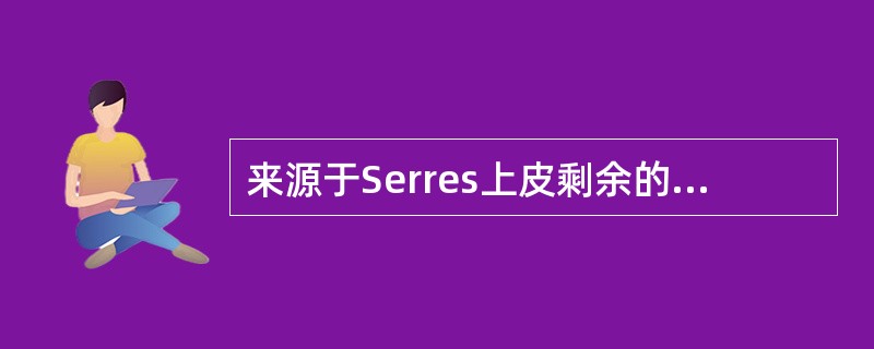 来源于Serres上皮剩余的囊肿不包括