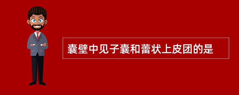 囊壁中见子囊和蕾状上皮团的是