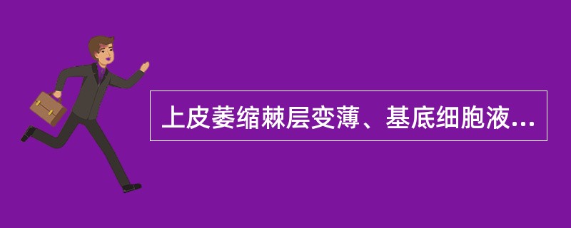 上皮萎缩棘层变薄、基底细胞液化变性的改变见于