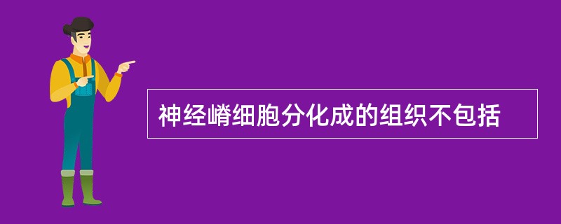 神经嵴细胞分化成的组织不包括