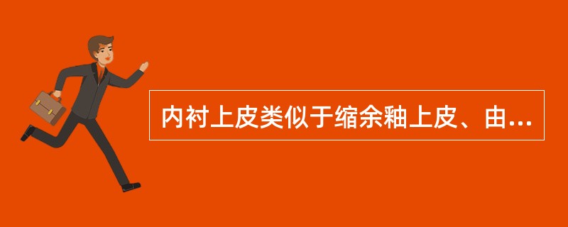 内衬上皮类似于缩余釉上皮、由2～4层扁平细胞或立方细胞构成的囊肿为