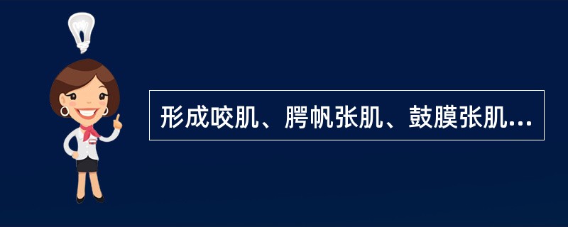 形成咬肌、腭帆张肌、鼓膜张肌、二腹肌前腹、下颌舌骨肌的是（　　）。