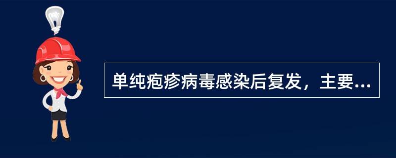 单纯疱疹病毒感染后复发，主要是因为是（　　）。