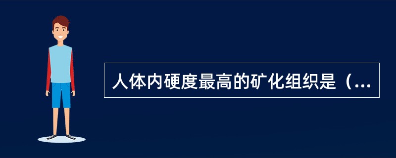 人体内硬度最高的矿化组织是（　　）。