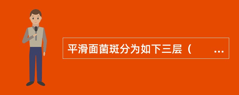 平滑面菌斑分为如下三层（　　）。