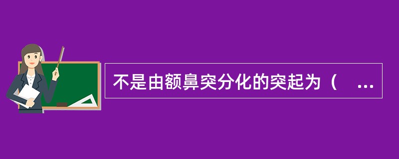 不是由额鼻突分化的突起为（　　）。