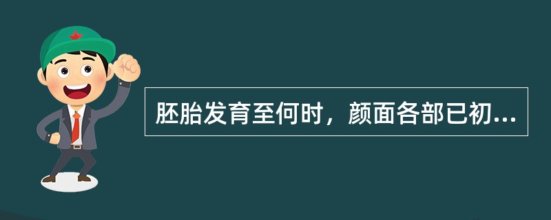 胚胎发育至何时，颜面各部已初具人形（　　）。