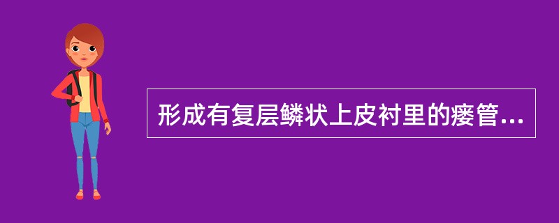 形成有复层鳞状上皮衬里的瘘管见于（　　）。