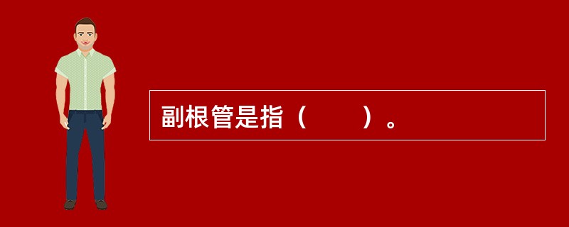 副根管是指（　　）。