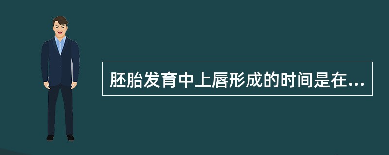 胚胎发育中上唇形成的时间是在（　　）。