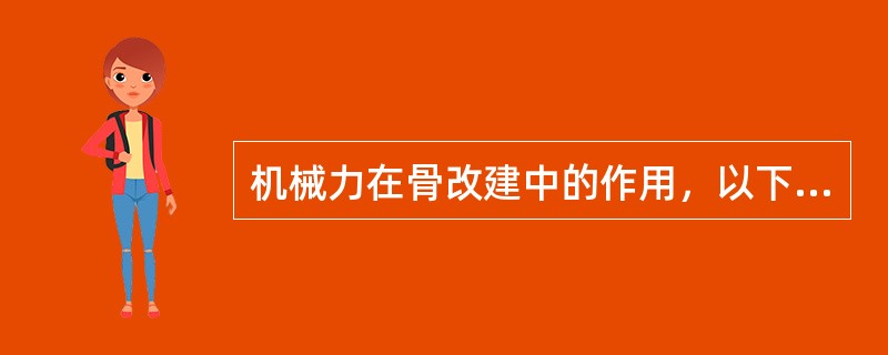 机械力在骨改建中的作用，以下哪项正确？（　　）