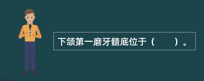 下颌第一磨牙髓底位于（　　）。