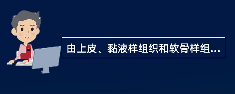 由上皮、黏液样组织和软骨样组织构成的肿瘤是（　　）。