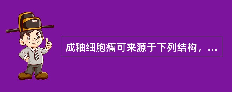 成釉细胞瘤可来源于下列结构，除了（　　）。