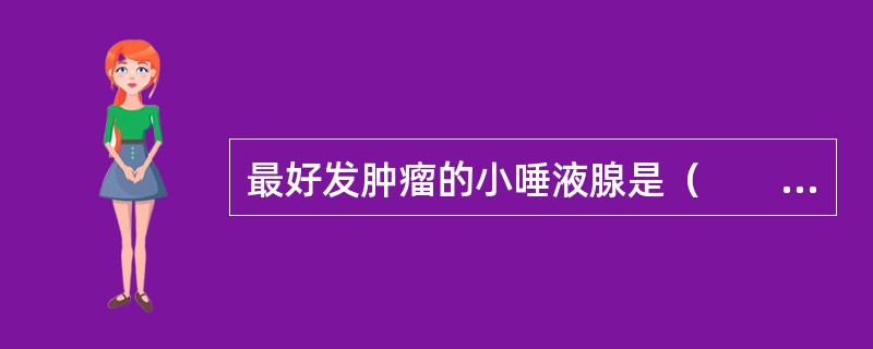 最好发肿瘤的小唾液腺是（　　）。