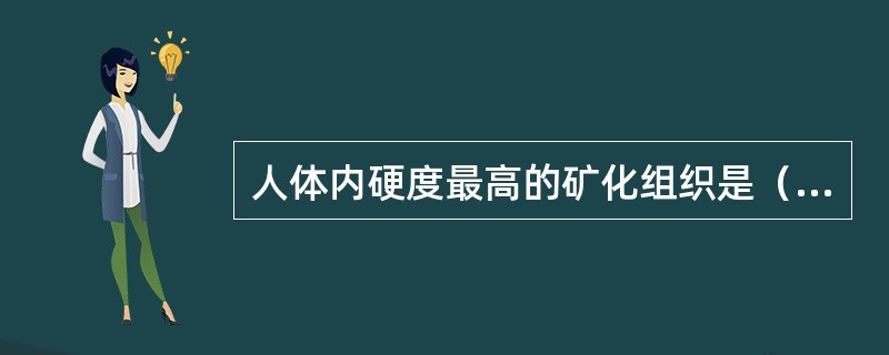 人体内硬度最高的矿化组织是（　　）。