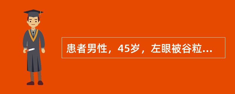 患者男性，45岁，左眼被谷粒射伤后红、痛、视力下降一月余。眼部检查：左眼视力0.04，眼睑轻度红肿，睑痉挛（±），混合充血（+++），角膜中央偏下方见菊花团样灰白色病灶，大小约5mm×6mm，略高于角