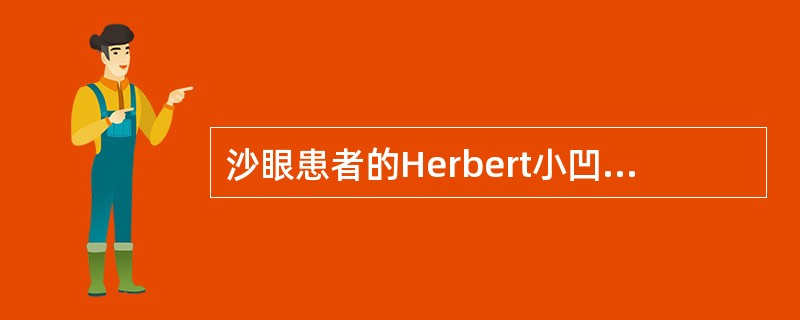 沙眼患者的Herbert小凹主要见于（　　）。