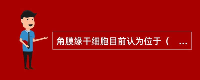 角膜缘干细胞目前认为位于（　　）。