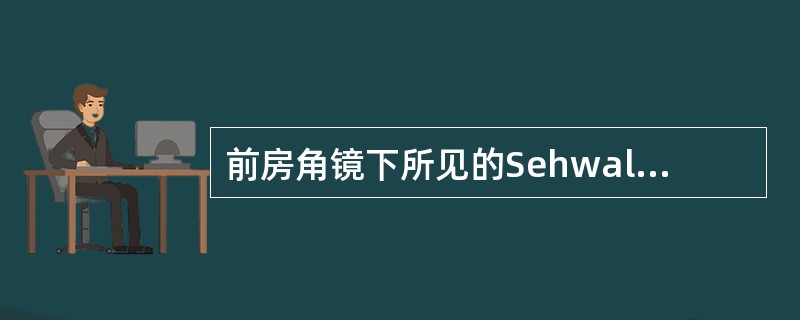 前房角镜下所见的Sehwalbe线，与角膜哪一层的止端相一致？（　　）