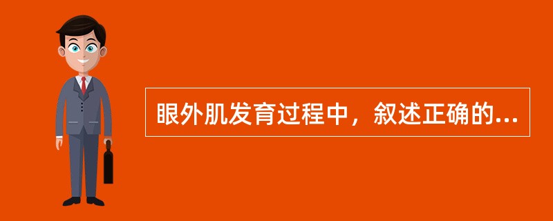 眼外肌发育过程中，叙述正确的是（　　）。