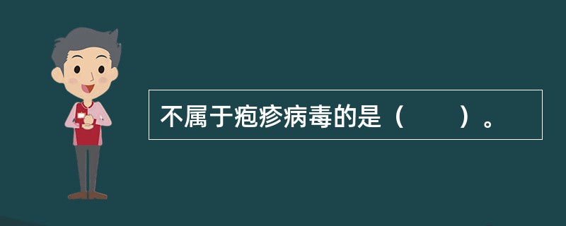 不属于疱疹病毒的是（　　）。