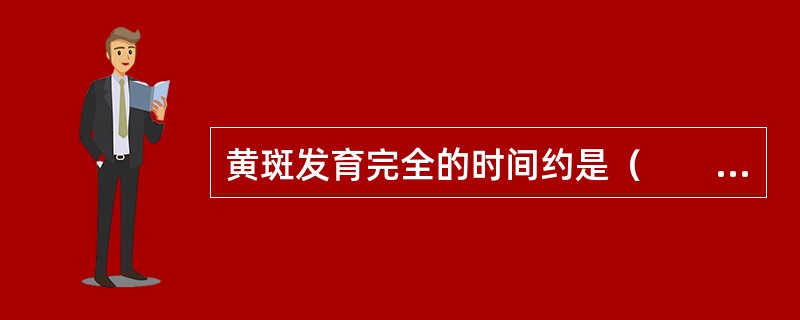 黄斑发育完全的时间约是（　　）。