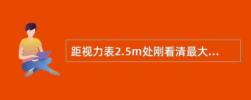 距视力表2.5m处刚看清最大视标，其视力为（　　）。