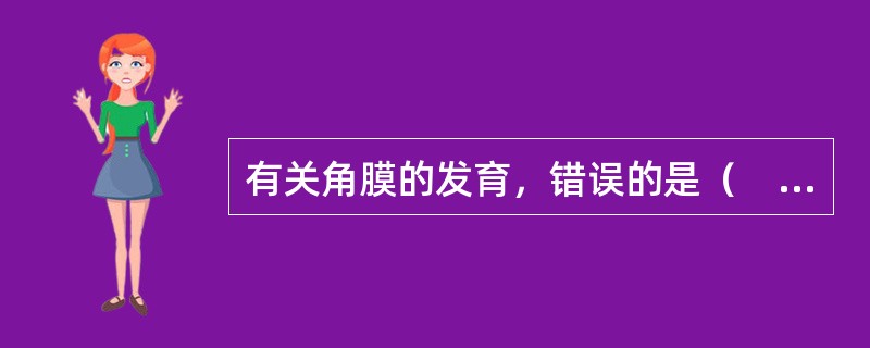 有关角膜的发育，错误的是（　　）。