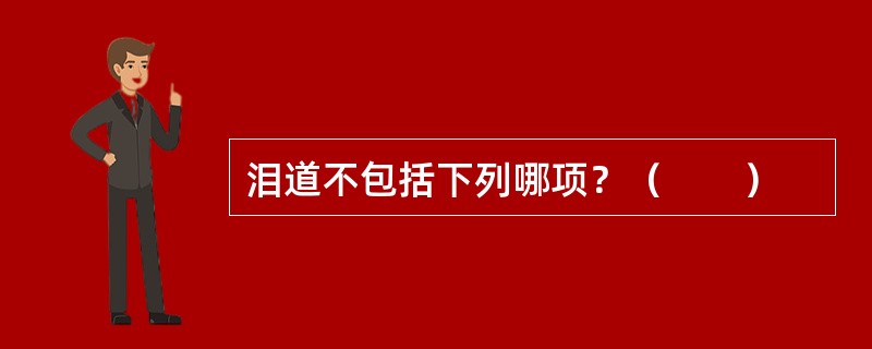 泪道不包括下列哪项？（　　）